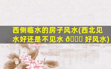 西侧临水的房子风水(西北见水好还是不见水 🐋 好风水)
